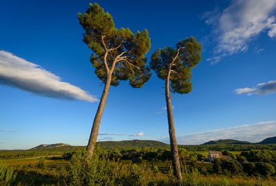 Programme complet des Dimanches de La Roque